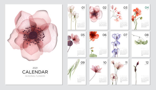 2021 calendar template on a botanical theme. Calendar design concept with abstract seasonal flowers. Set of 12 months 2021 pages. Vector illustration calendar patterns stock illustrations