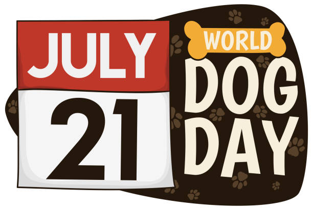 Calendar with Sign and Bone Toy for World Dog Day Commemorative banner with loose-leaf calendar with reminder date over a sign with dog paws pattern for World Dog Day in July 21. international dog day stock illustrations