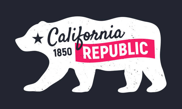 California Republic bear. Vintage poster. Print for T-shirt, typography. Retro design.Vector illustration Vector illustration brown bear stock illustrations
