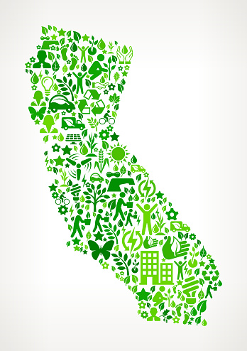 California State Environmental Conservation and Nature interface icon Pattern