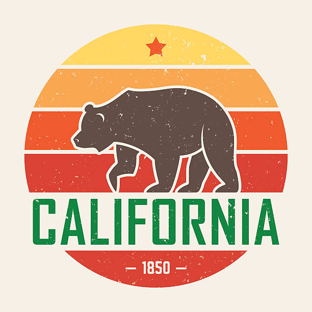 California t-shirt with grizzly bear. T-shirt graphics, design vector art illustration