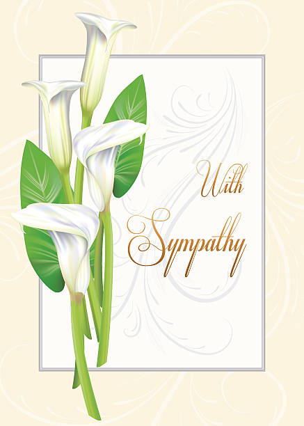 Calla Lily Sympathy Card vector art illustration