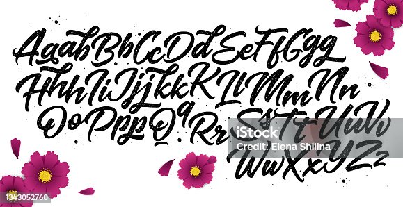 istock Calligraphy decorative ABC alphabet 1343052760
