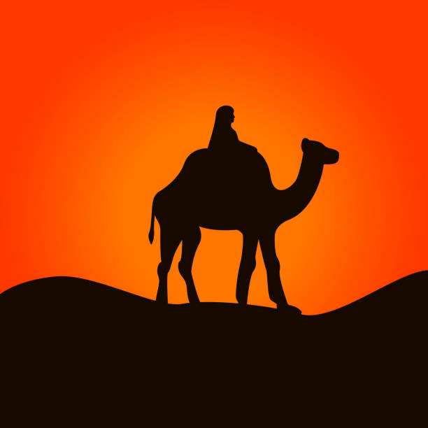 illustrazioni stock, clip art, cartoni animati e icone di tendenza di cammello e cameleer nel deserto del sahara. illustrazione vettoriale - gobi desert