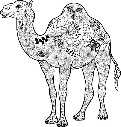 Camel  doodle