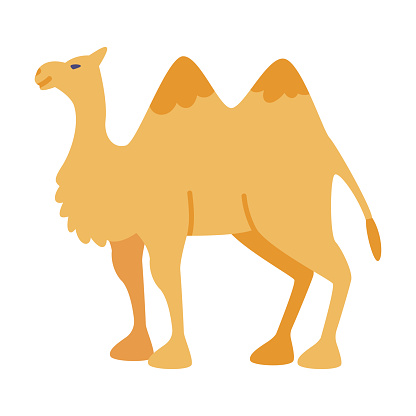 Camel Even-toed Ungulate as Traditional Istanbul Transport Vector Illustration