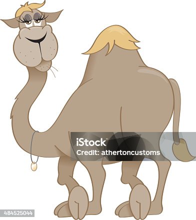 istock Camel relaxing 484525044