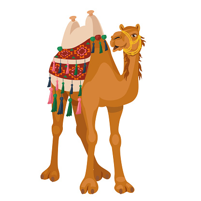 Camel With Traditional Colorful Decorated Stock Illustration - Download ...