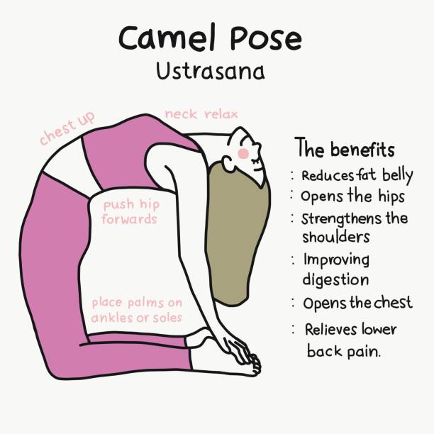 Camel yoga pose and benefits cartoon vector illustration Camel yoga pose and benefits cartoon vector illustration benefits of exercise infographics stock illustrations