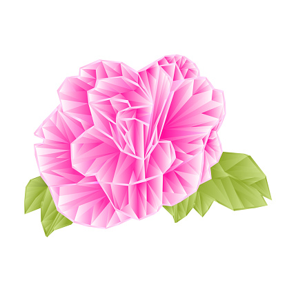 Camellia Japonica pink flower polygons on a white background vektor illustration