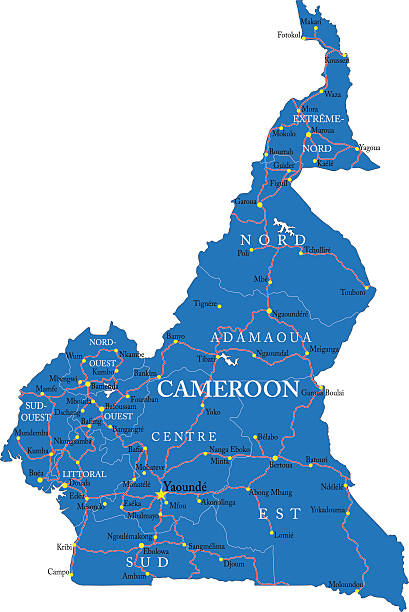illustrazioni stock, clip art, cartoni animati e icone di tendenza di del camerun mappa - camerun