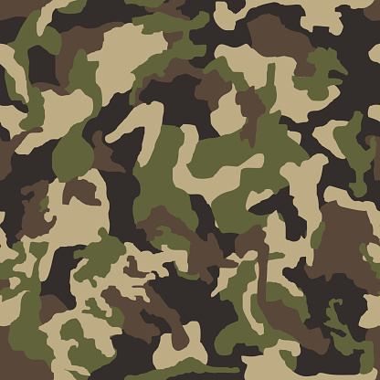 Camouflage Pattern Background Seamless Vector Illustration Classic ...