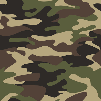 Camouflage pattern background seamless vector illustration