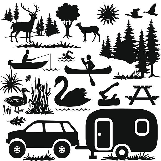 bildbanksillustrationer, clip art samt tecknat material och ikoner med camping at the lake design elements - roe deer