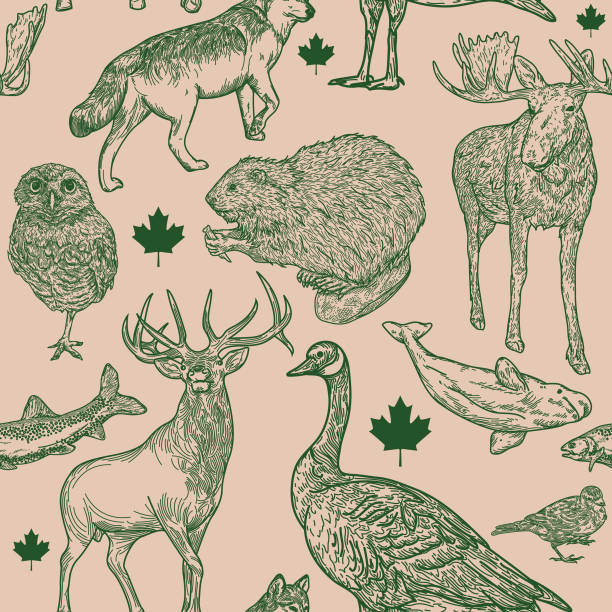 Canadiana Wildlife Seamless Pattern Super Canadian wildlife seamless pattern! Full of animals that are symbolic to Canada. Global colours, easy to edit, a great seamless tile for fabric, backgrounds, whatever! canadian culture illustrations stock illustrations