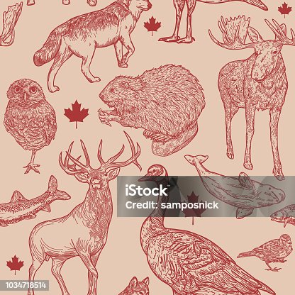 istock Canadiana Wildlife Seamless Pattern 1034718514