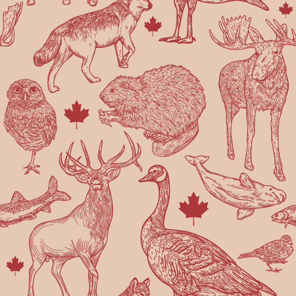 Canadiana Wildlife Seamless Pattern Super Canadian wildlife seamless pattern! Full of animals that are symbolic to Canada. Global colours, easy to edit, a great seamless tile for fabric, backgrounds, whatever! moose stock illustrations