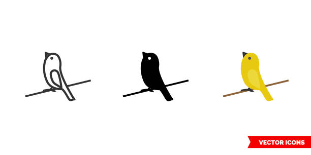 Canary icon of 3 types color, black and white, outline. Isolated vector sign symbol Canary icon of 3 types. Isolated vector sign symbol. bird symbols stock illustrations