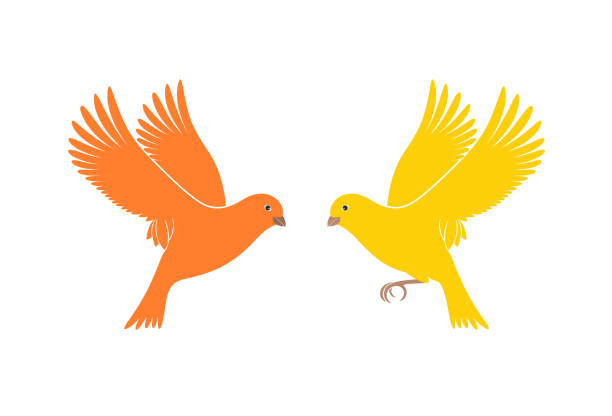 stockillustraties, clipart, cartoons en iconen met canarische logo. geïsoleerde canarische op witte achtergrond. vogel - kanarie