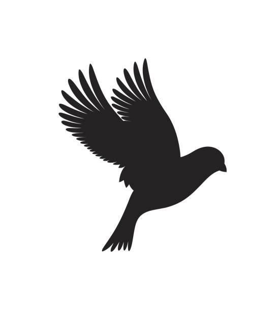 stockillustraties, clipart, cartoons en iconen met kanarie silhouet. vogel - kanarie