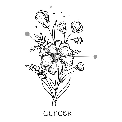 Cancer horoscope flower icon outline vector. Zodiac sign astrology