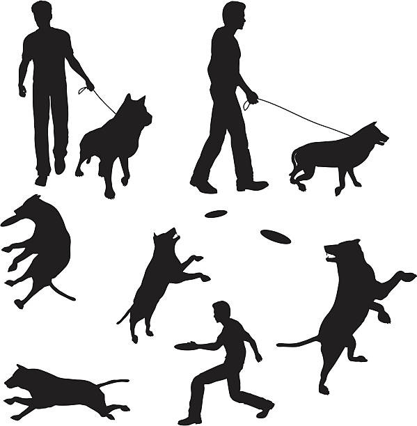 Canine Recreation Silhouette Collection File types included are ai, eps, svg, and various jpgs (3000x3000,1000x1000,500x500) frisbee stock illustrations