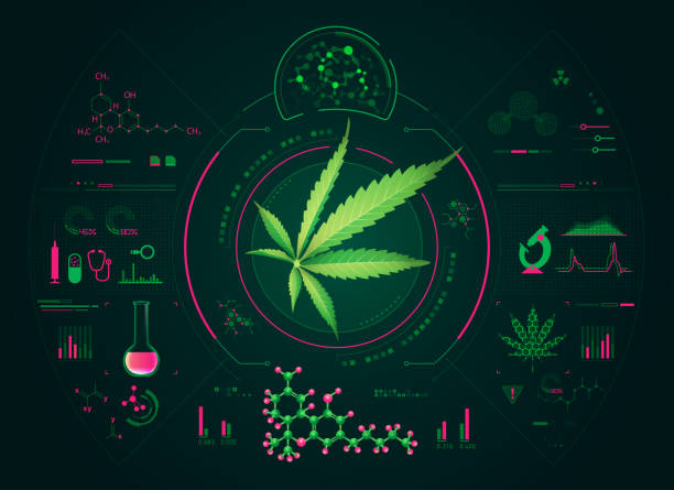 анализ каннабиса - cannabis stock illustrations