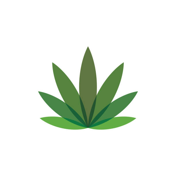 cannabis leaf free brushes 383 free downloads