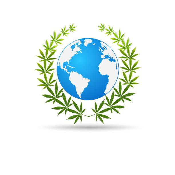 Cannabis leafDelivery cannabis. Illustration of a delivery truck icon with a marijuana leaf. Drug consumption Marijuana Legalization vector art illustration