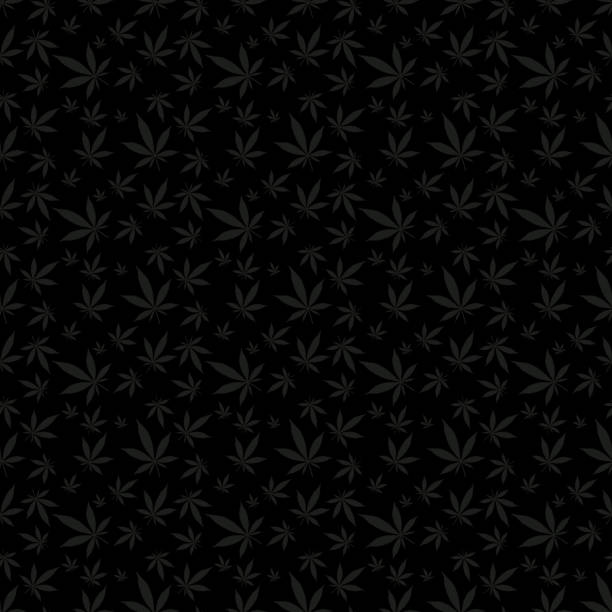 cannabis leaves pattern on jet black background cannabinol stock illustrations