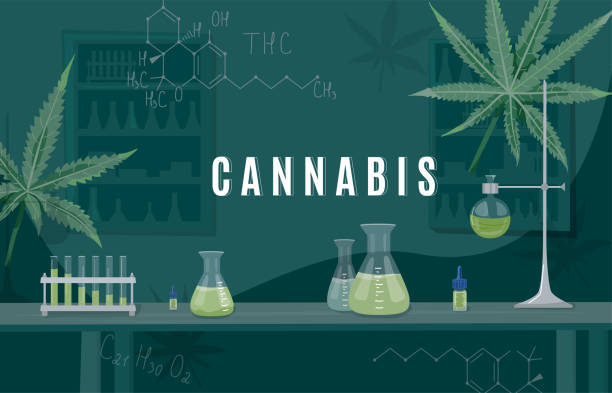 866 Cannabis Testing Illustrations & Clip Art - iStock