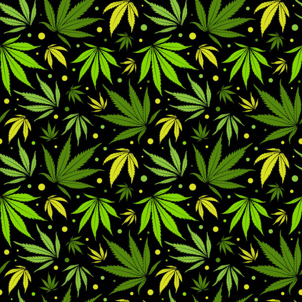 62 Marijuana Leaf Wallpapers Cartoon Illustrations & Clip Art - iStock