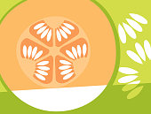Abstract fruit design in flat cut out style. Cantaloupe melon cross section and seeds. Vector illustration.