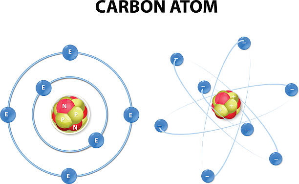 Carbon atom on white background. structure This vector diagram shows the protons, neutrons, and electrons of a carbon atom. Each is in a group of six. That makes the atom very stable. This type of model is now widely considered a sound basic version. electron stock illustrations