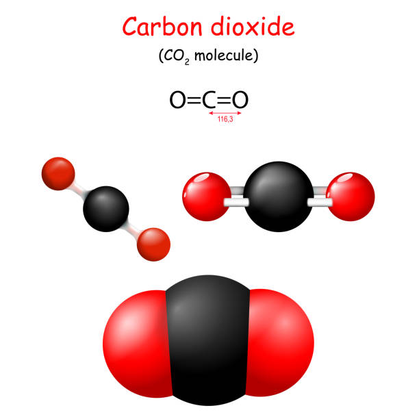 carbon-dioxide-structural-
