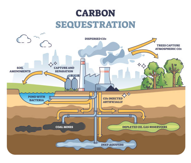 Carbon sequestration with CO2 capture and storage underground outline diagram vector art illustration