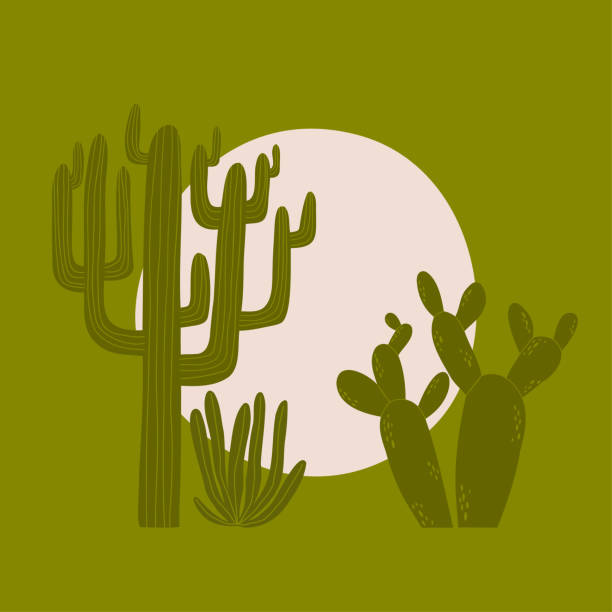bildbanksillustrationer, clip art samt tecknat material och ikoner med card design with cacti and sun. hand drawn vector illustration. - desert cowgirl
