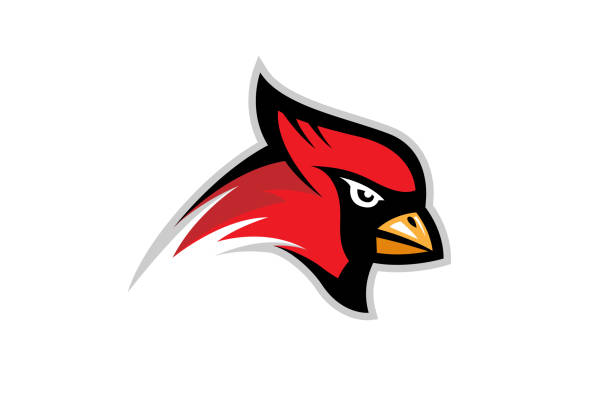 Cardinal Bird Logo Cardinal Bird Logo Design Illustration cardinals stock illustrations