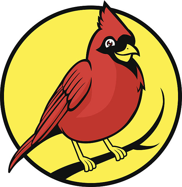 cardinal bird vector of cardinal bird on tree branch cardinals stock illustrations