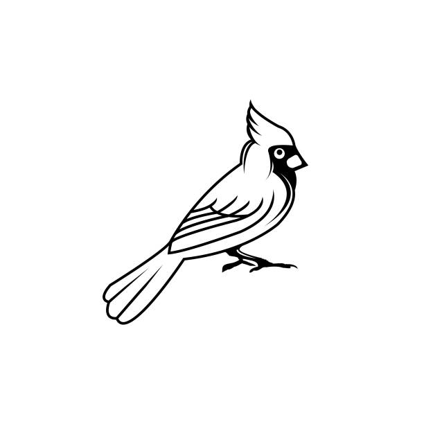 cardinal bird vector illustration black silhouette flat style profile side.EPS 8.EPS 10 cardinals stock illustrations