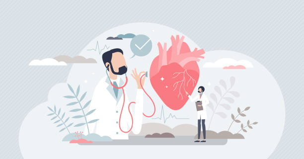 ilustrações, clipart, desenhos animados e ícones de cardiologista e médico de saúde do coração como especialista em órgãos conceito de pessoa minúscula - cardiologista
