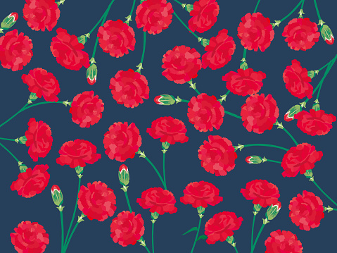 Carnation Mother's Day background
