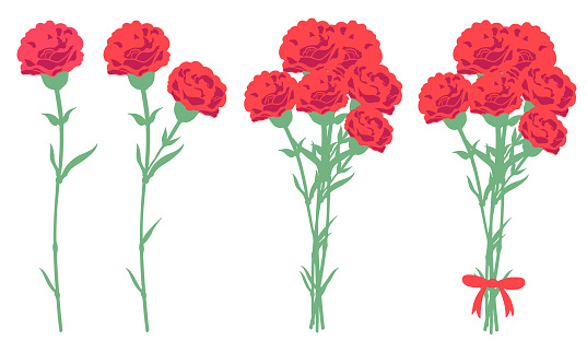 Carnation red (no line)