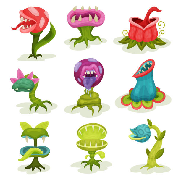 Carnivore plants set, colorful fantastic malicious killer flowers with teeth vector Illustrations on a white background Carnivore plants set, colorful fantastic malicious killer flowers with teeth vector Illustrations isolated on a white background. carnivorous stock illustrations