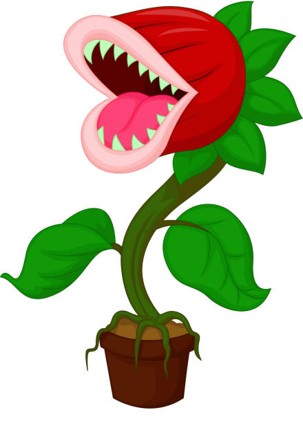 Carnivorous plant cartoon Vector illustration of Carnivorous plant cartoon carnivorous plant stock illustrations