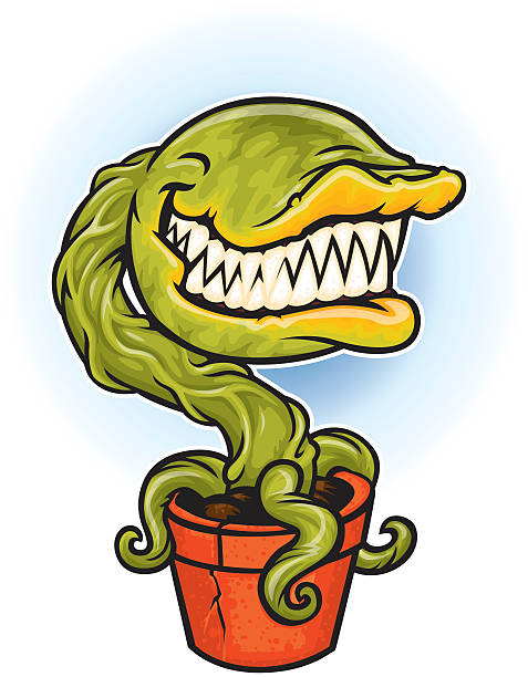 carnivorous plant cartoon venus flytrap in a flower pot carnivorous stock illustrations