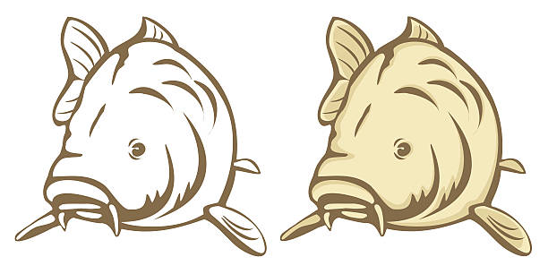 Bilder von karpfen - Unsere Favoriten unter den verglichenenBilder von karpfen!