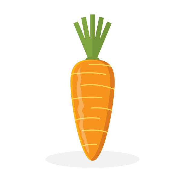 carrot carrot. eps 10 vector file carrot stock illustrations