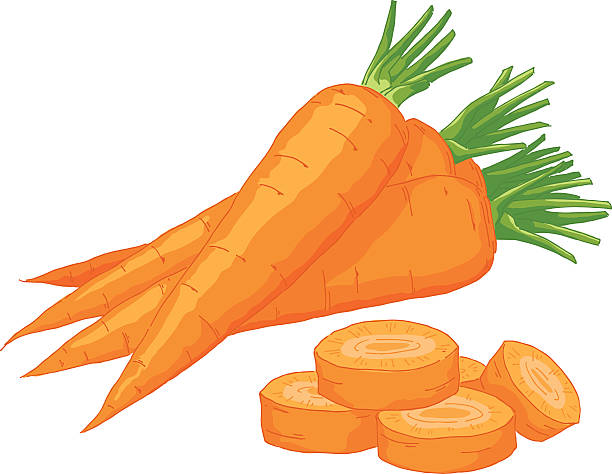 Carrot Vector illustration of fresh carrot. carrot stock illustrations