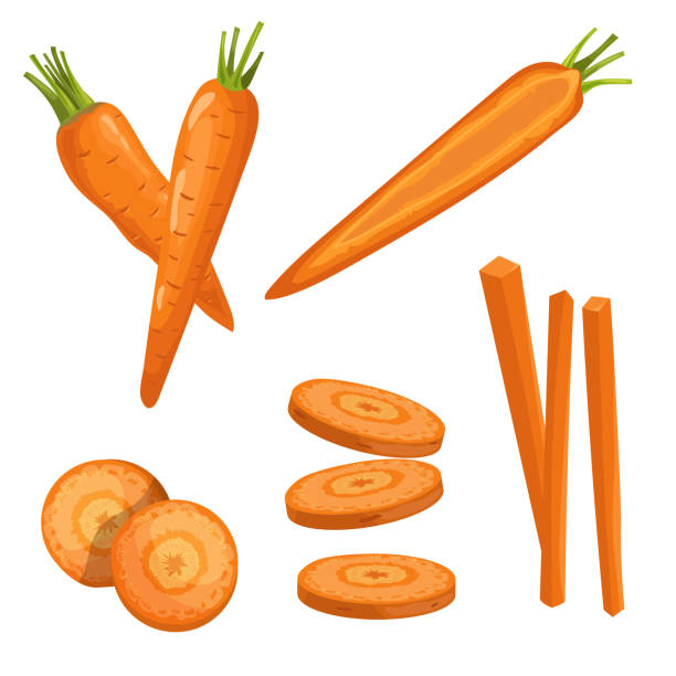 Carrots set. Whole carrots, half slices and carrot sticks. Cartoon flat simple style. Fresh market vegetables. Vector illustrations isolated on white background.  carrot stock illustrations